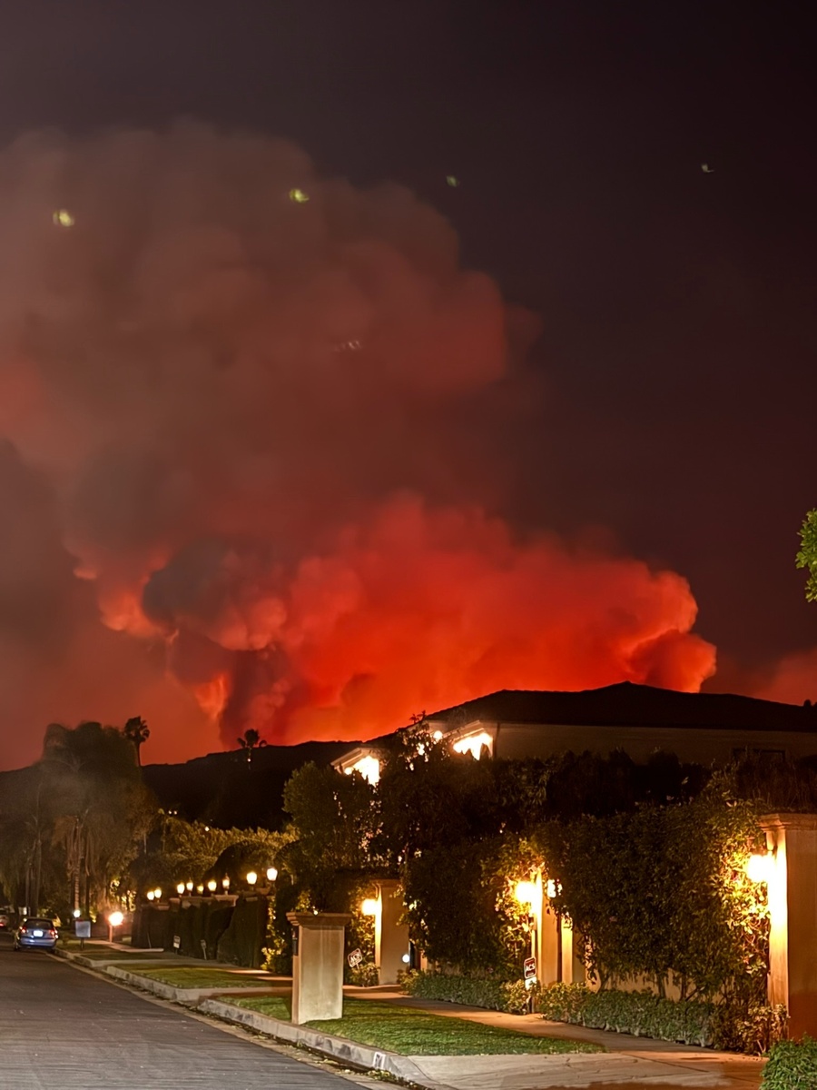 Reflections on the LA Wildfires