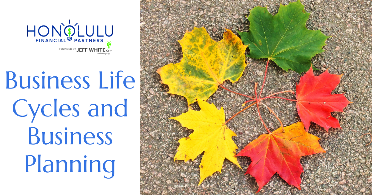 Business Life Cycles and Business Planning