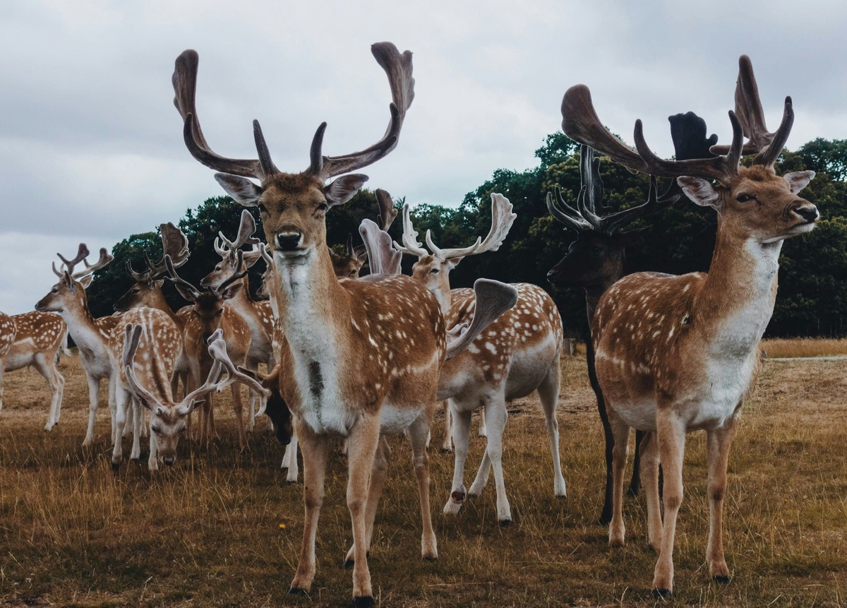 Weekly Market Insights | Mixed Data, Mixed Results.