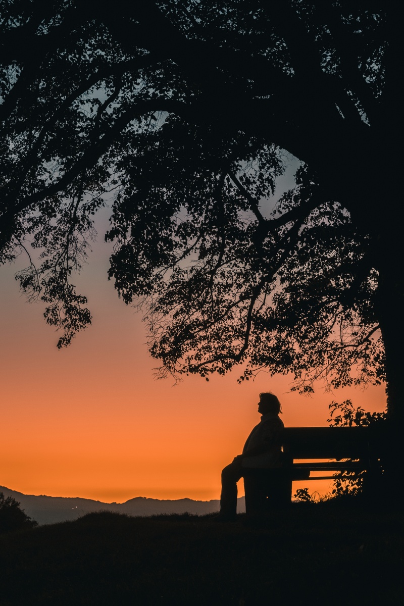 Reflecting on a Memorable November: Insights and Outlook