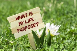 Finding Purpose in the everyday