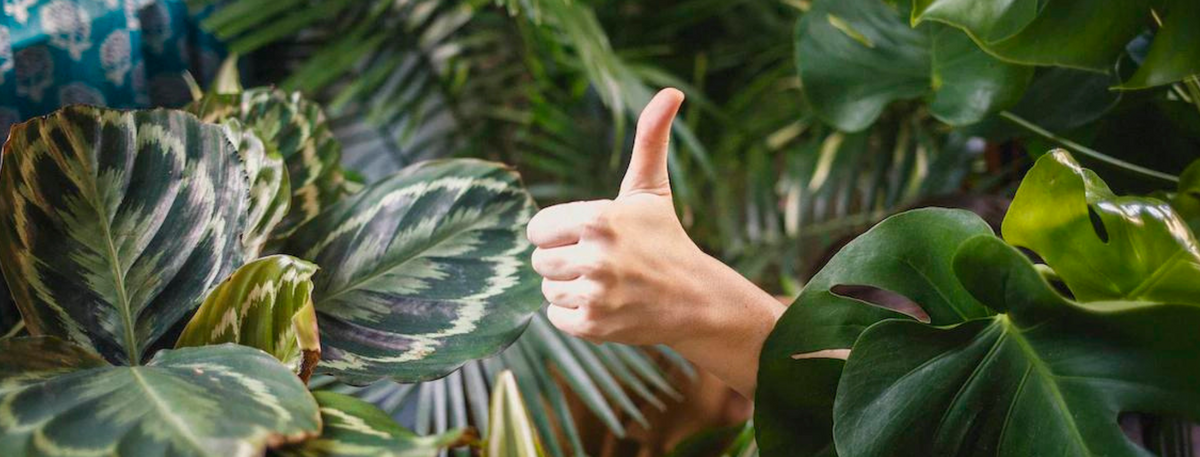 Four Really Good Reasons to Invest