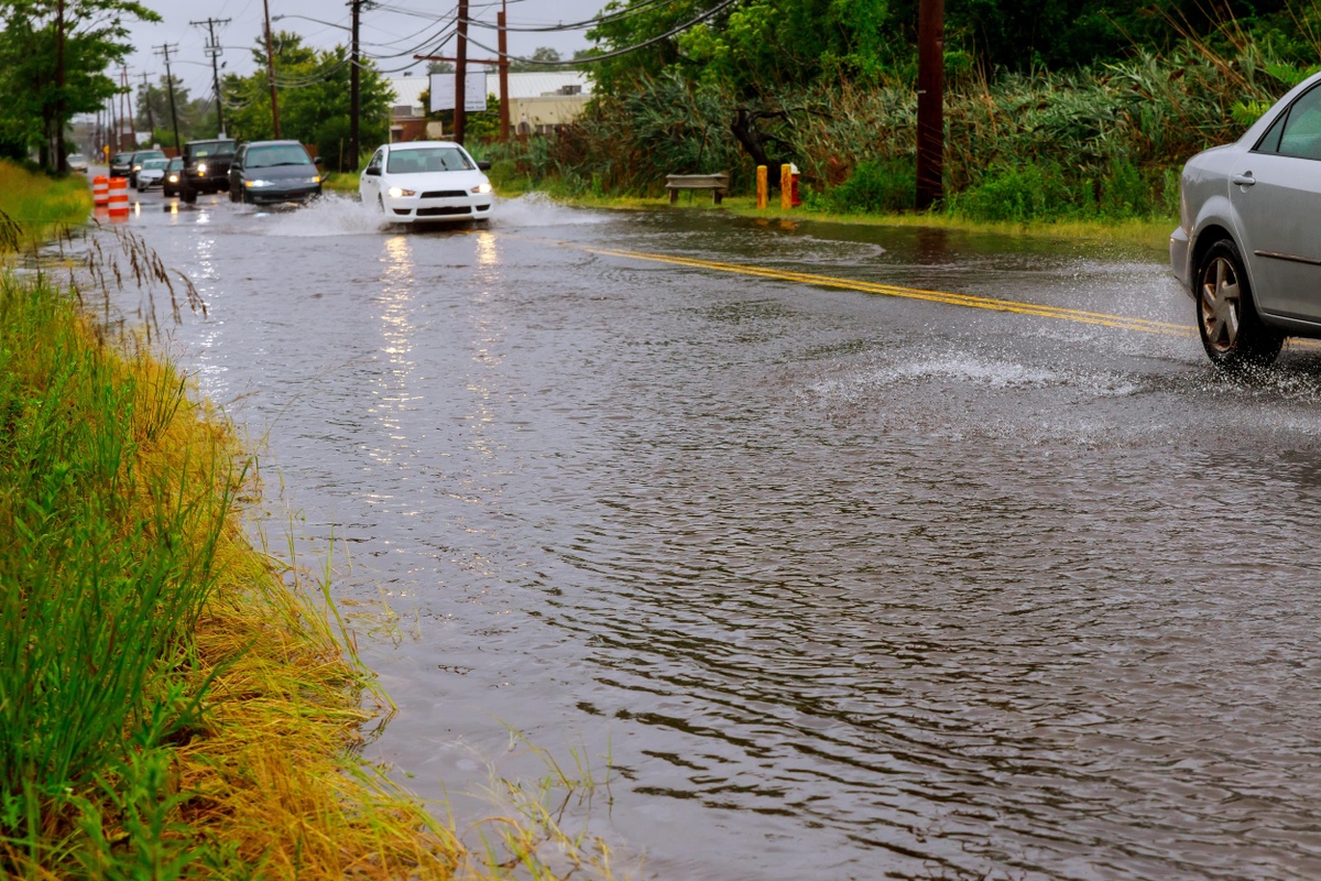 Water, Water Everywhere