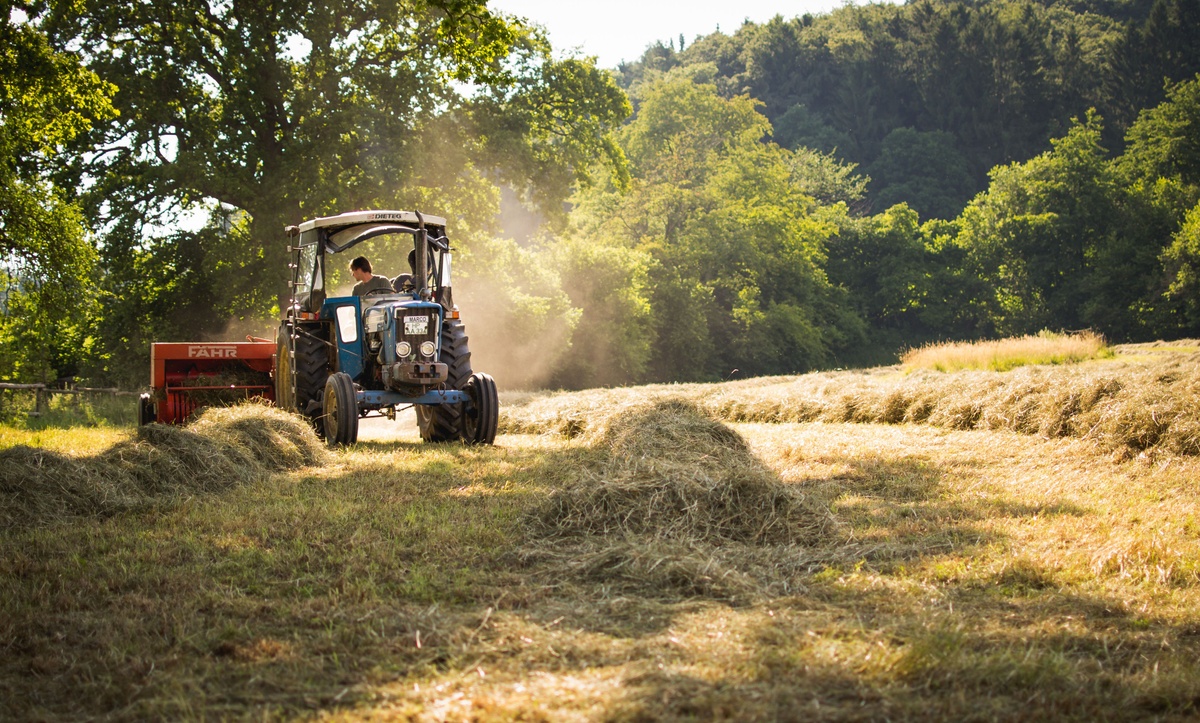 Financial Planning for Multi-Generation Farmers: Protecting the Land, the Livelihood, and the Legacy