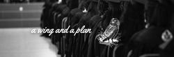 Changes to 529 Plans