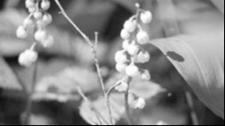 Capital Magazine Q2 2025