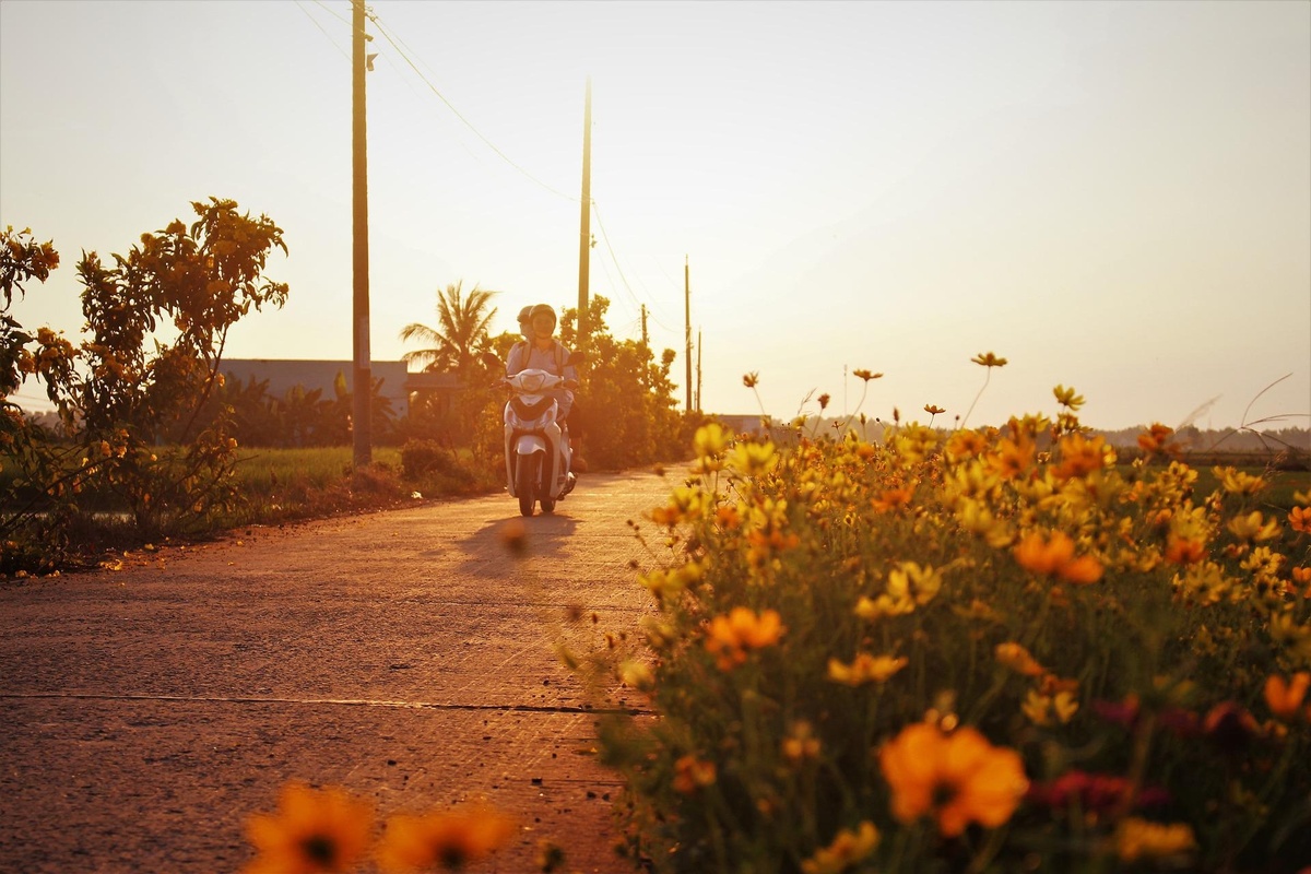 Important Tips to Know For Safe Motorcycle Riding in Summer