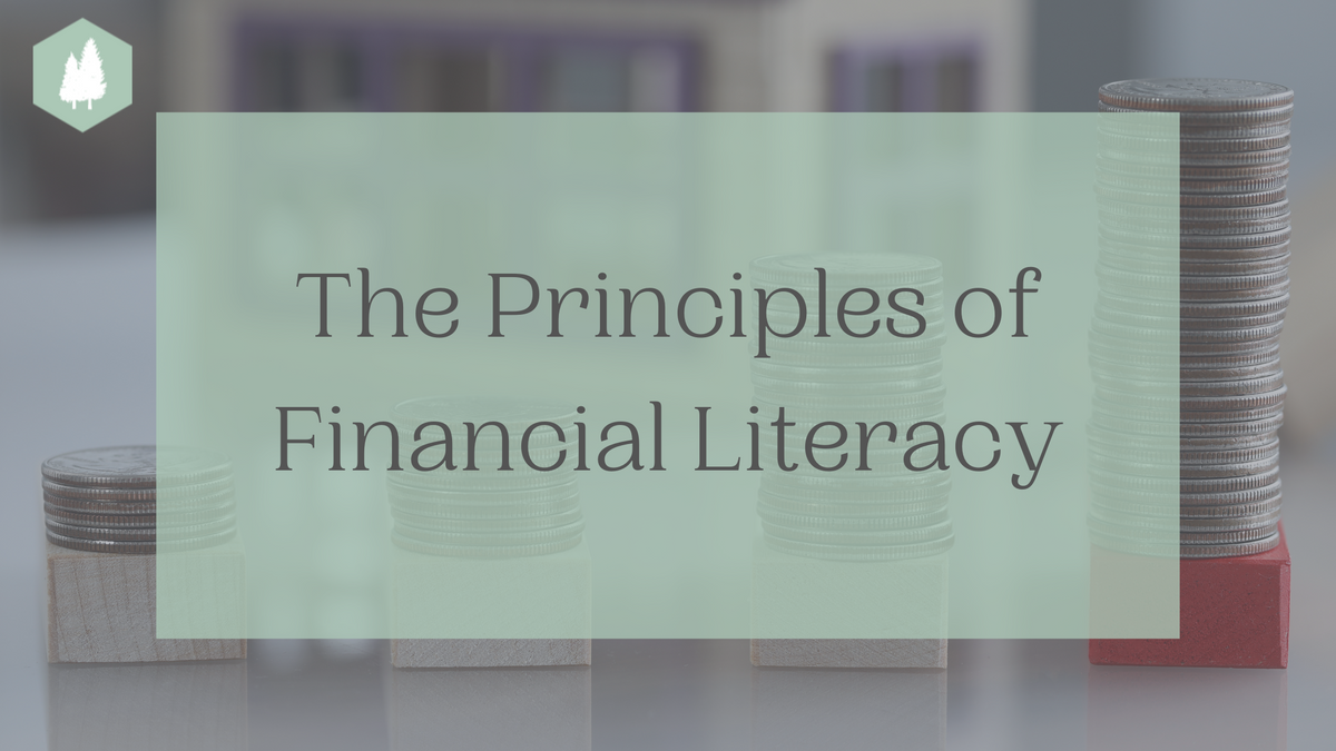 The Principles of Financial Literacy