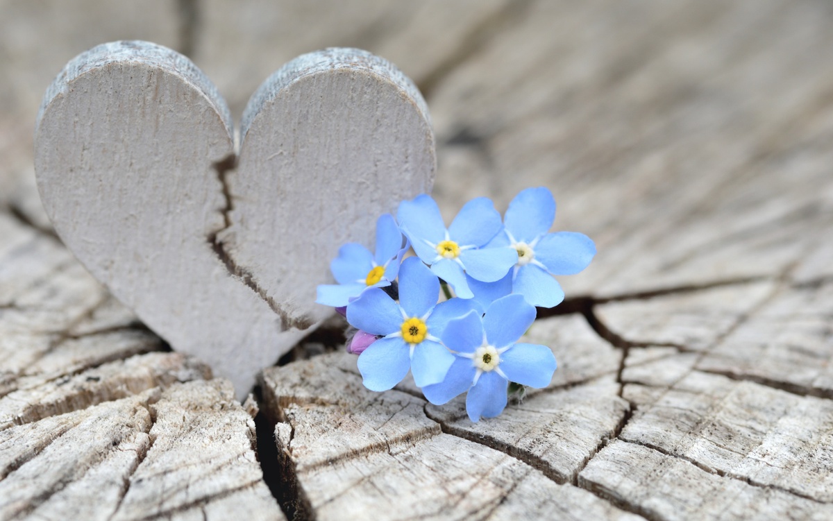Broken Hearts and Open Ears