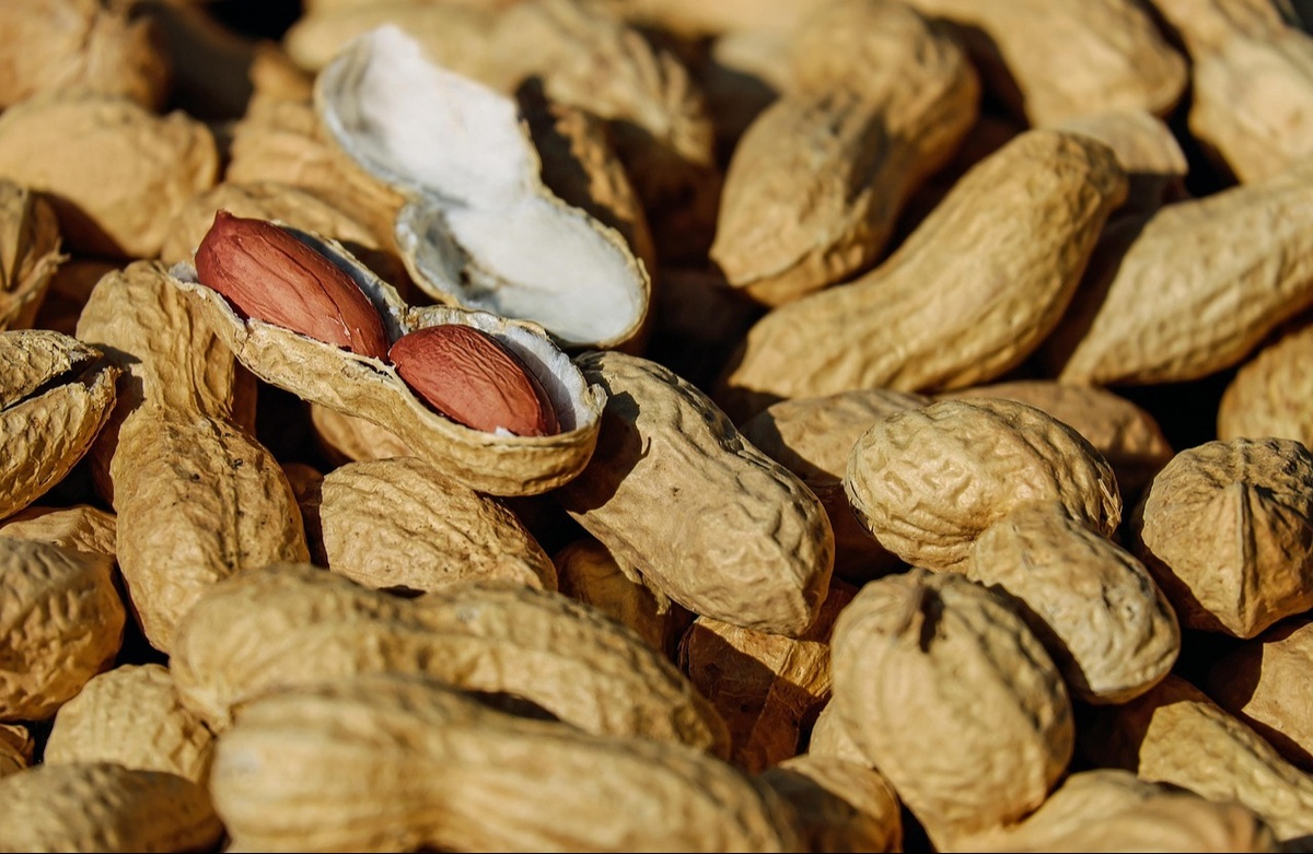 Food Allergies and Gut Health: What You Need to Know