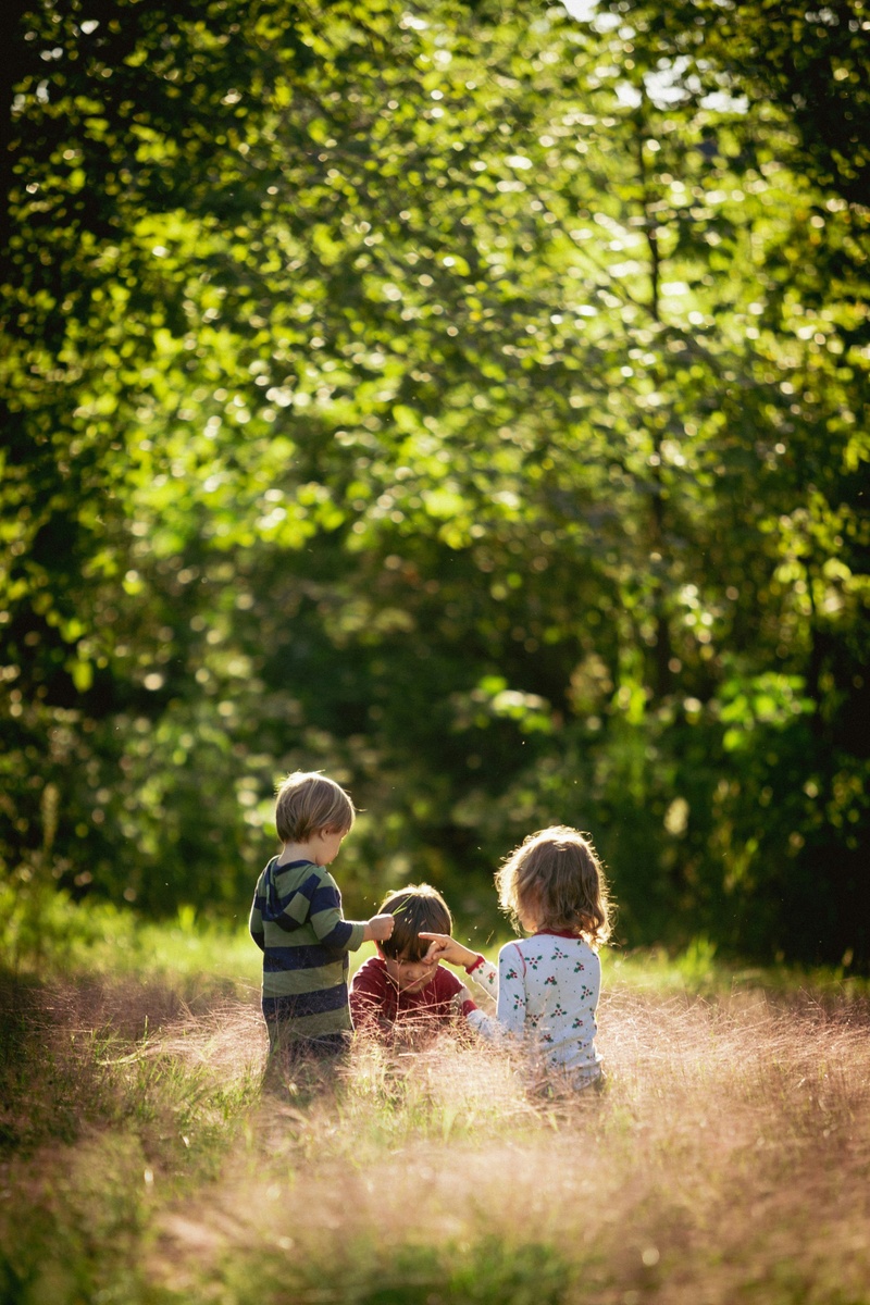 What Happens If You Don't Have a Will?