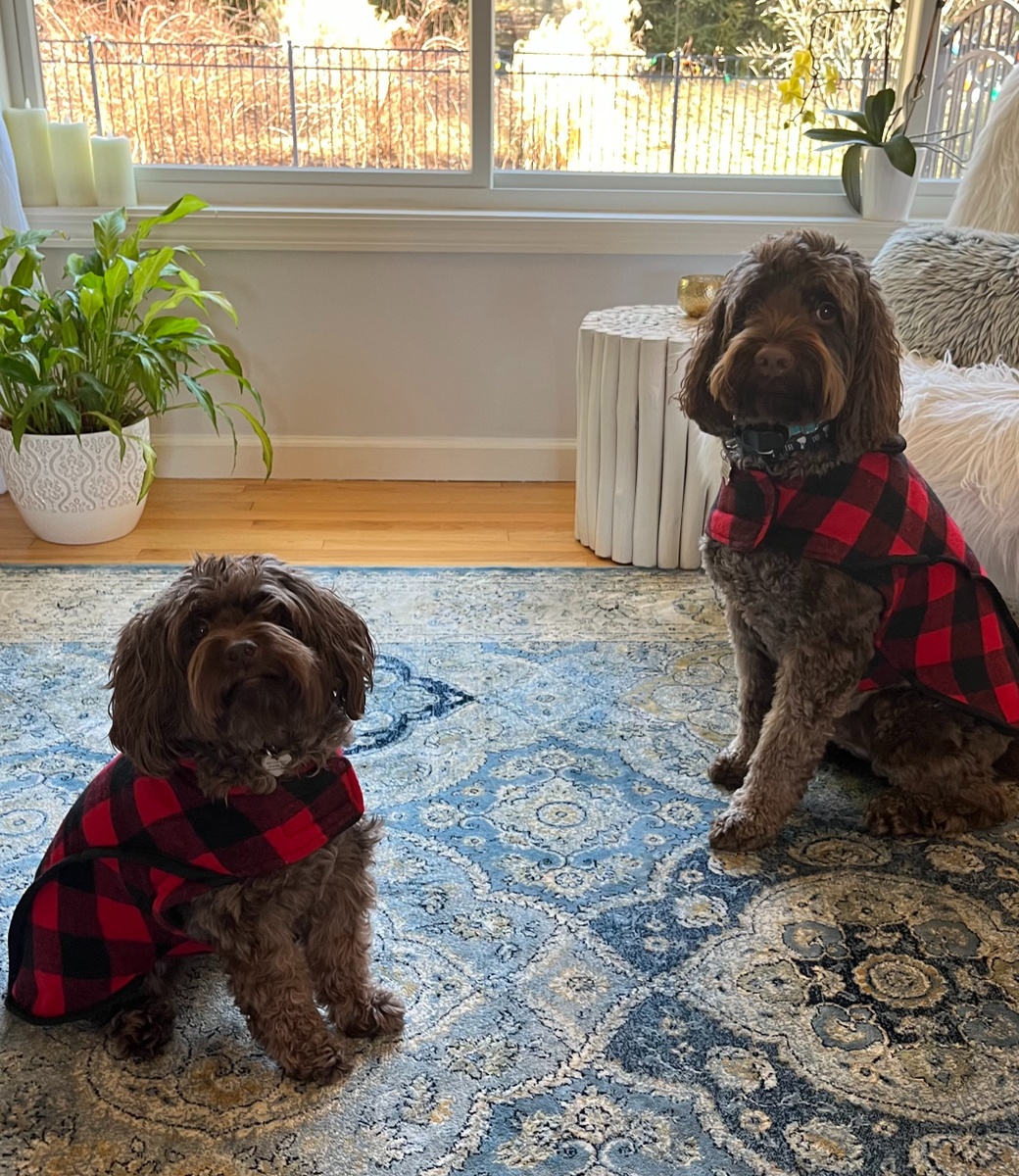 Charlie Munger's Financial Wisdom