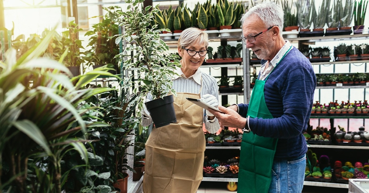 Working During Retirement