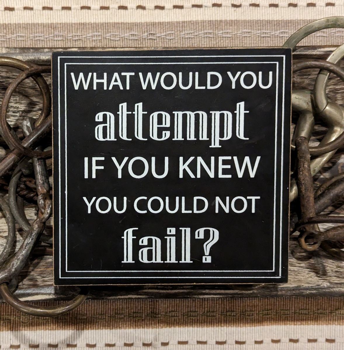 What Would You Attempt if You Knew You Could Not Fail?