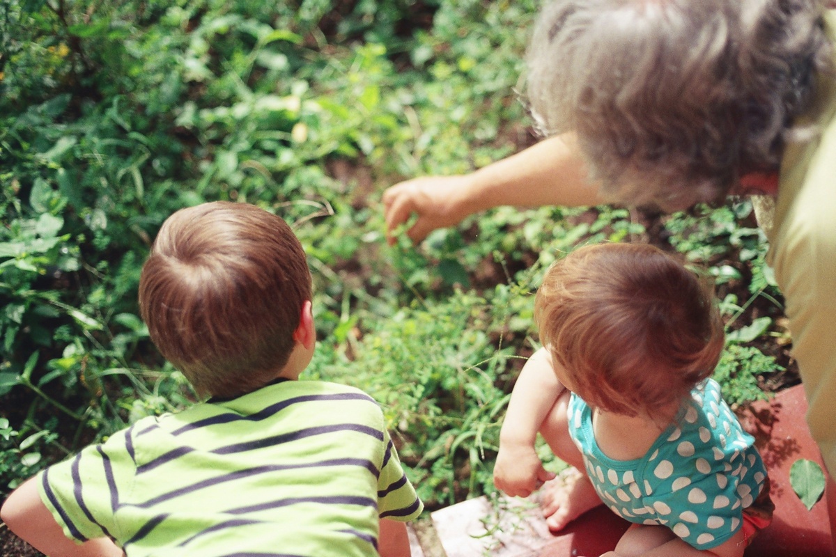 Grandparent-Owned 529 Savings Plans: The Benefits of Recent Changes