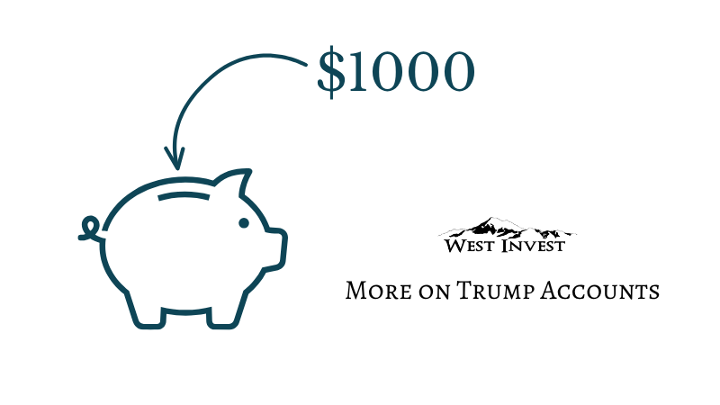 More on Trump Accounts