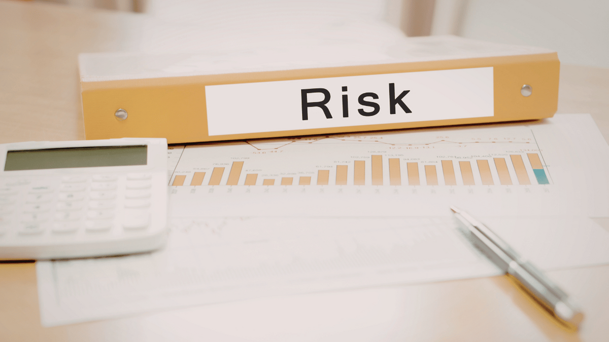 Professional Tips on Risk Mitigation and Portfolio Success