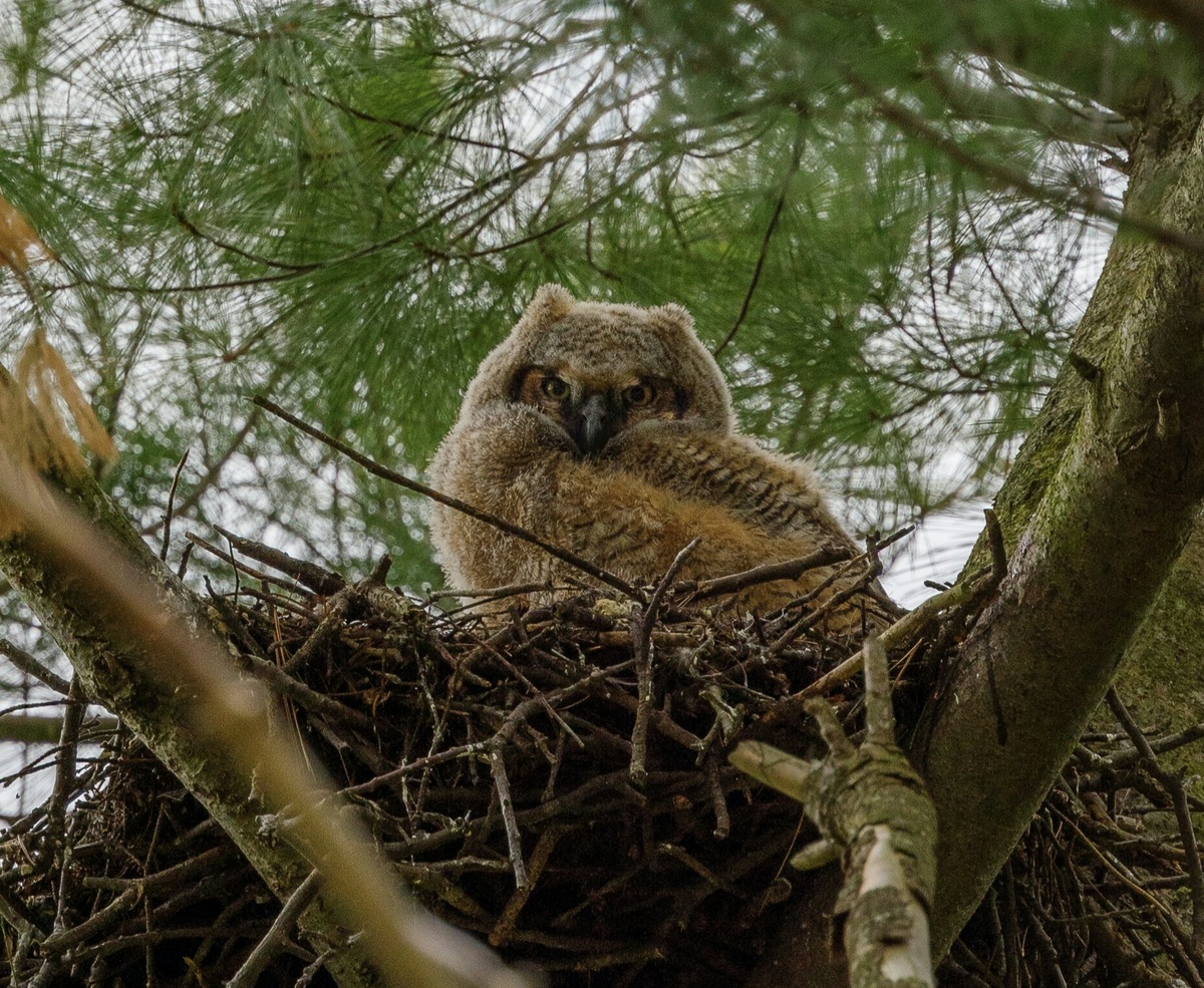 Weekly Market Insights | Fed Happy Talk Breaks Bad News Streak