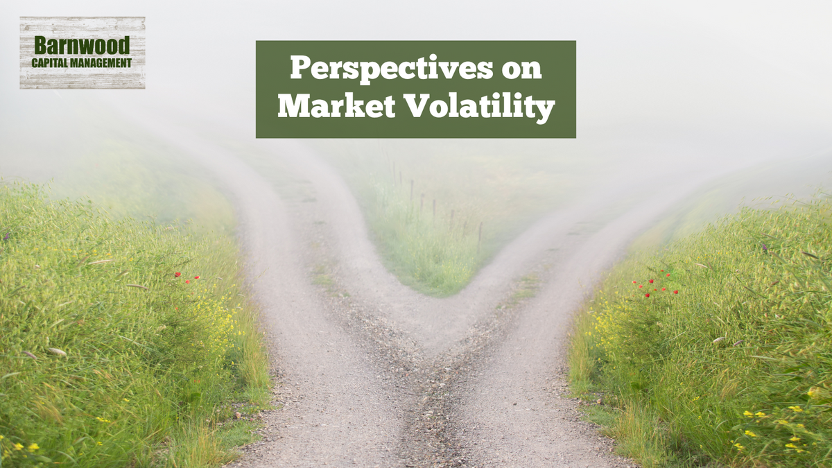 Perspectives on Market Volatility