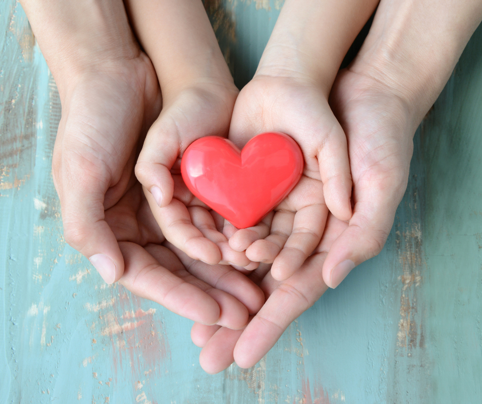 Empowering Your Legacy: How to Create a Charitable Giving Plan