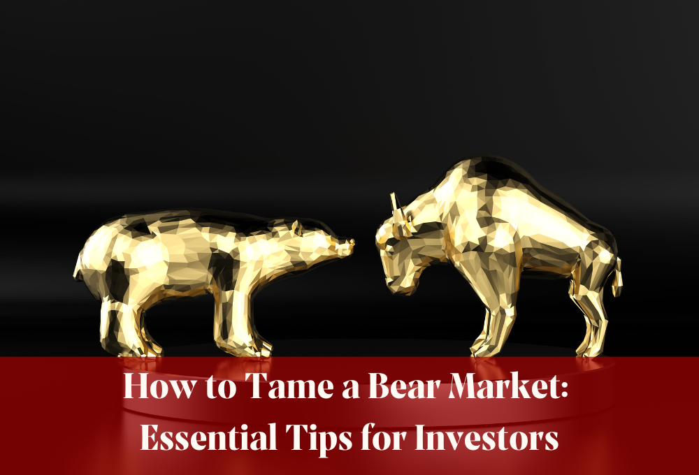 How to Tame a Bear Market: Essential Tips for Investors