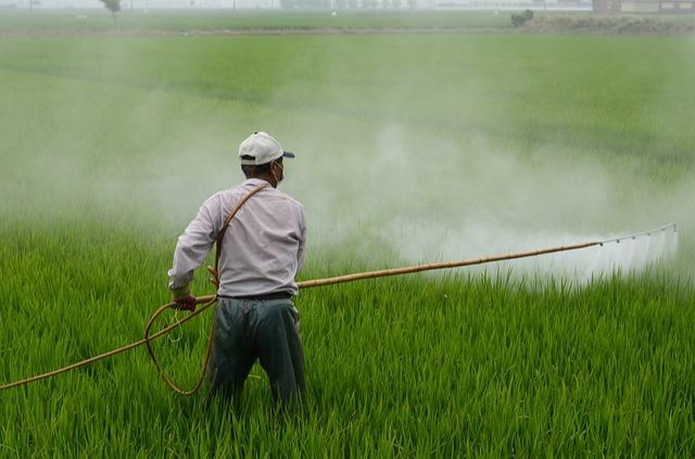 Pesticide Hazards in the Home