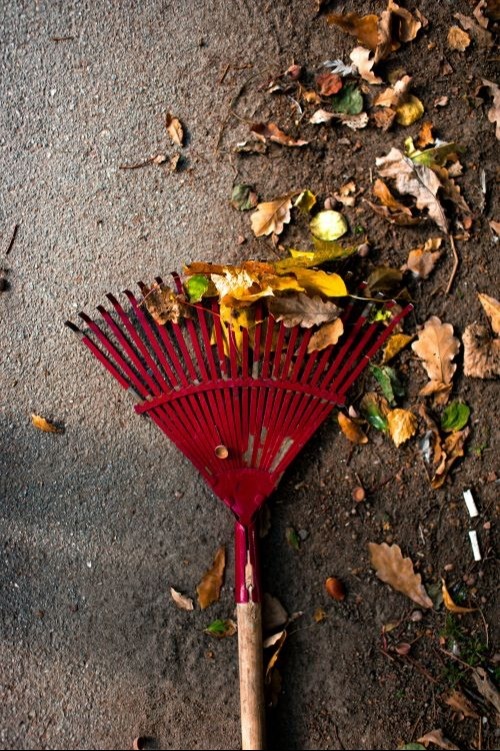 Fall Home Maintenance