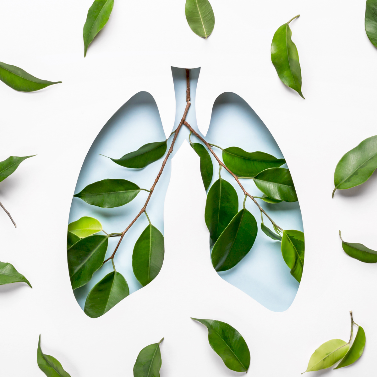 Good Lung Health Equals Lower Health Care Costs