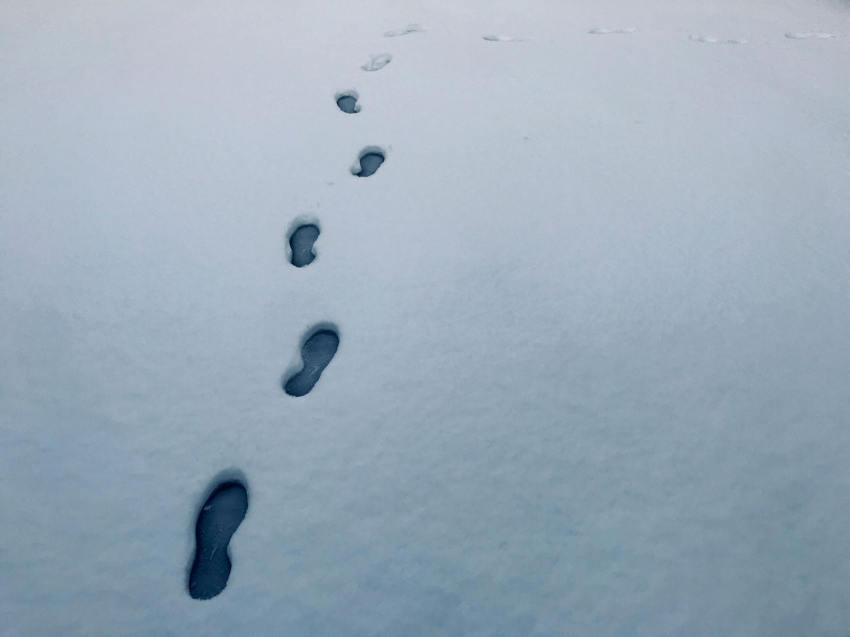 Your Digital Financial Footprint: What It Is and How to Protect It