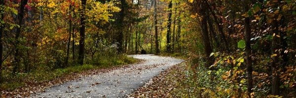 What Are We Doing Here? Lessons from a Mountain Drive