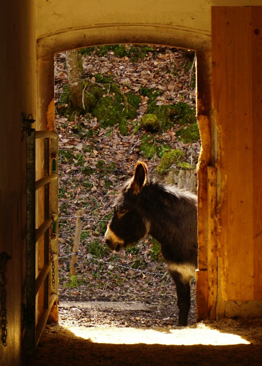 Weekly Market Insights: Market Rallies But Ends Week Flat