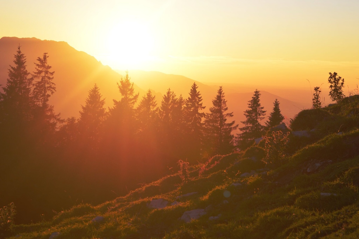 The Federal Estate Tax Exemption: Navigating the Sunset in 2025