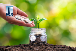 Your Wealth Managers