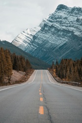 When to begin collecting Social Security Benefits? High Net Worth Planning