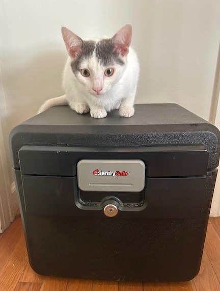 My Best Financial Organizing Tip