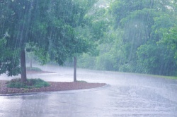 I Wish it Would Rain