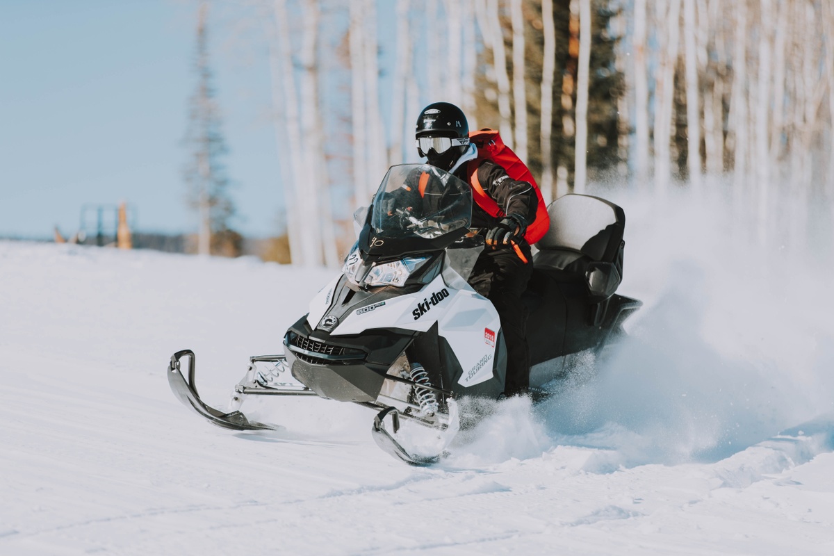 Don't Forget To Insure Your Sled