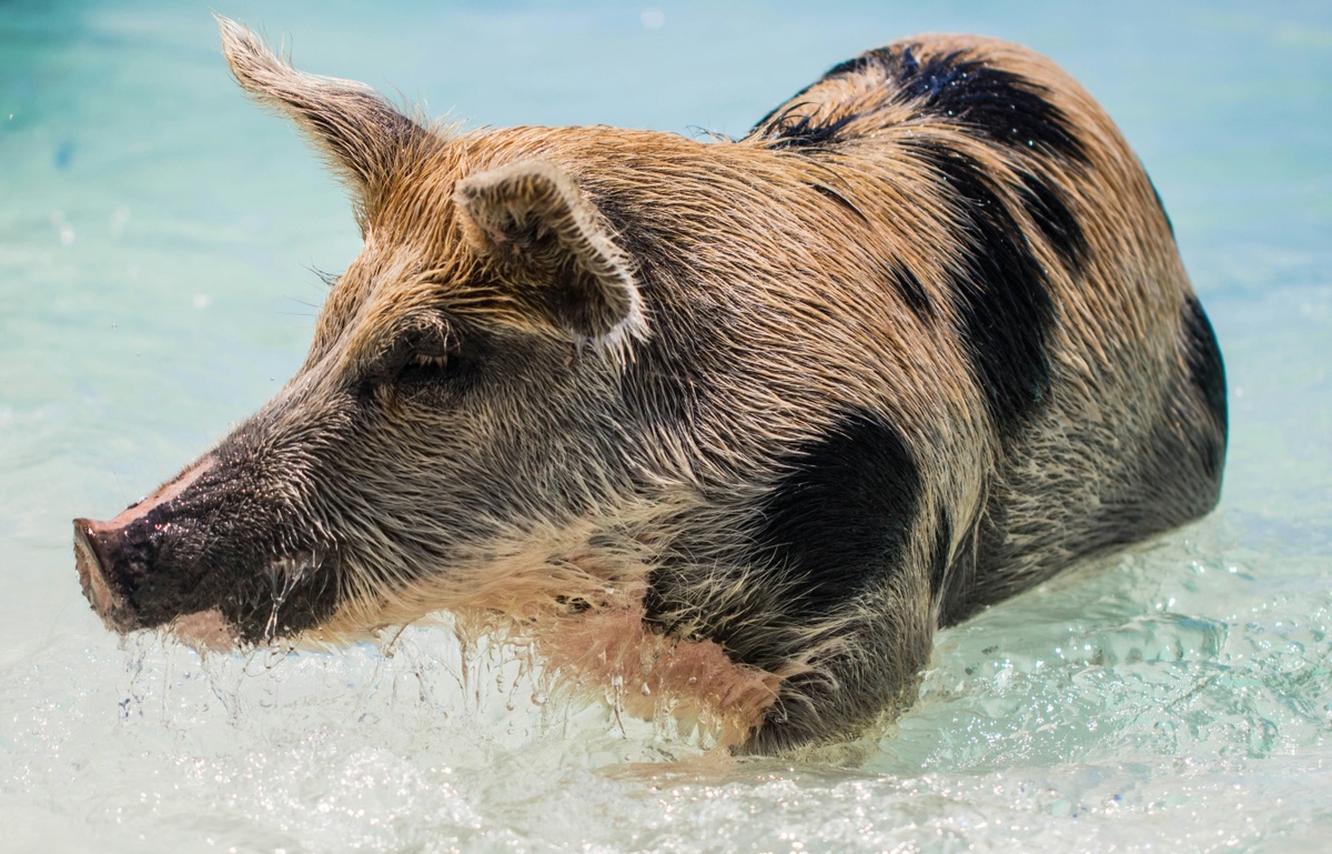 Weekly Market Insights | Conflict Fears Rattle Markets; Fed Holds Steady