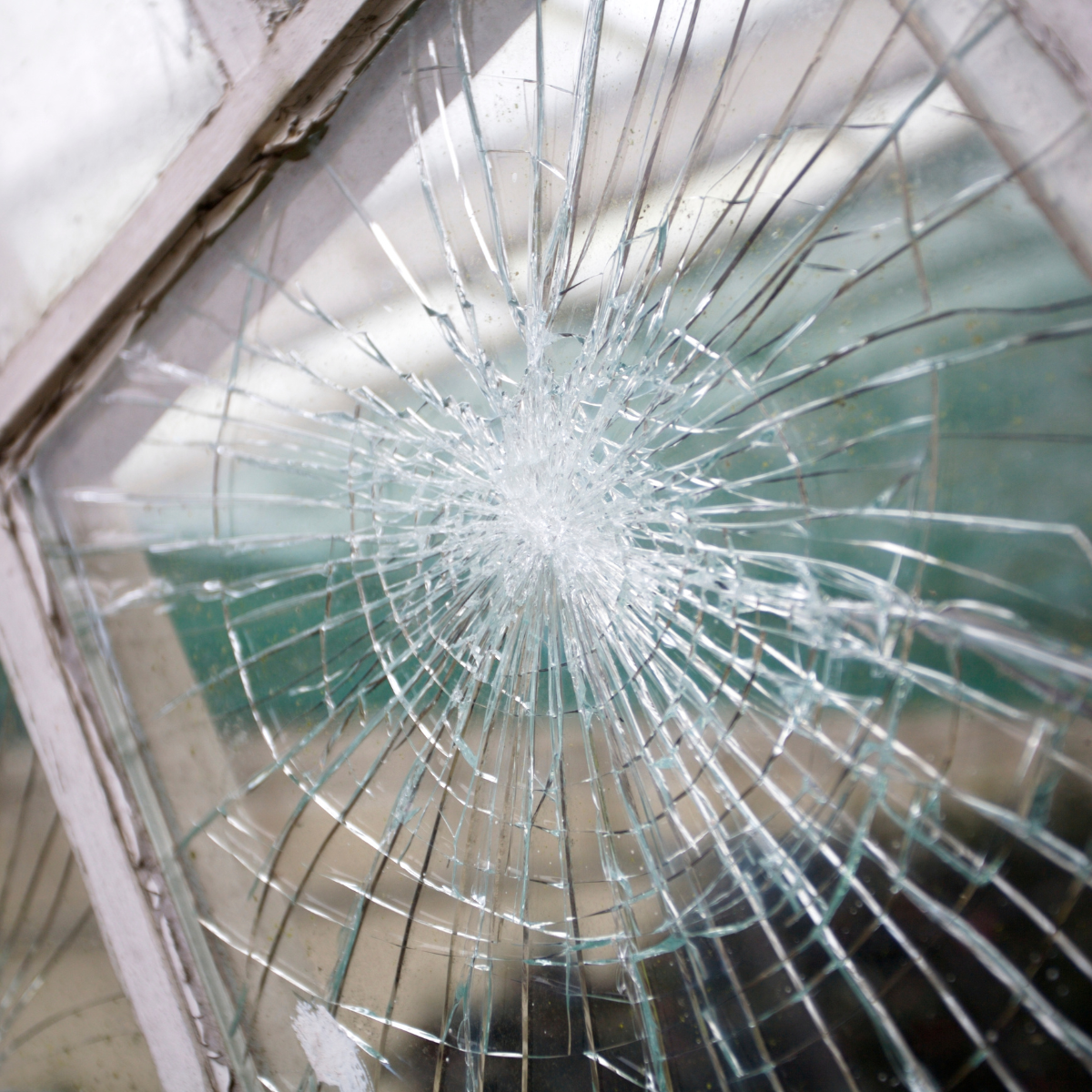 Is Your Business Insured Against Political Violence?