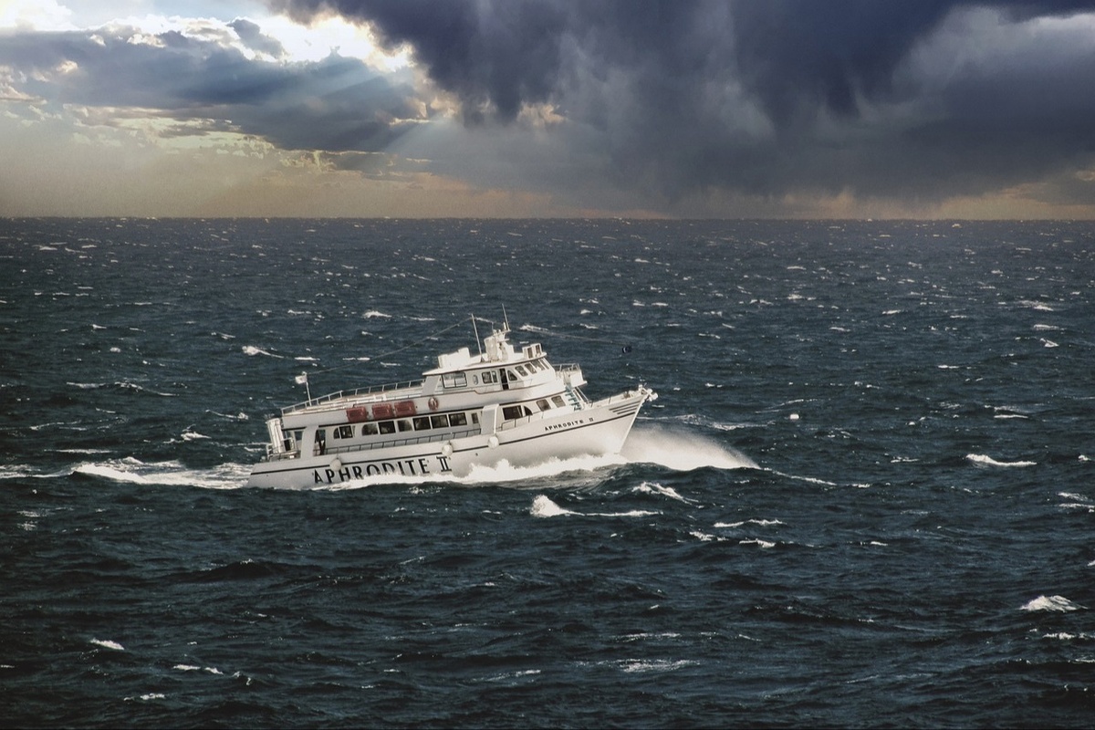 Why Quality Stocks Shine Brightest in Stormy Weather