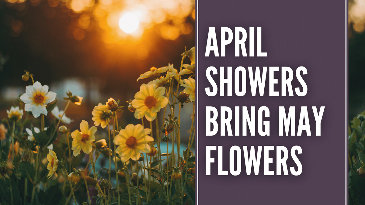 April Showers Bring May Flowers