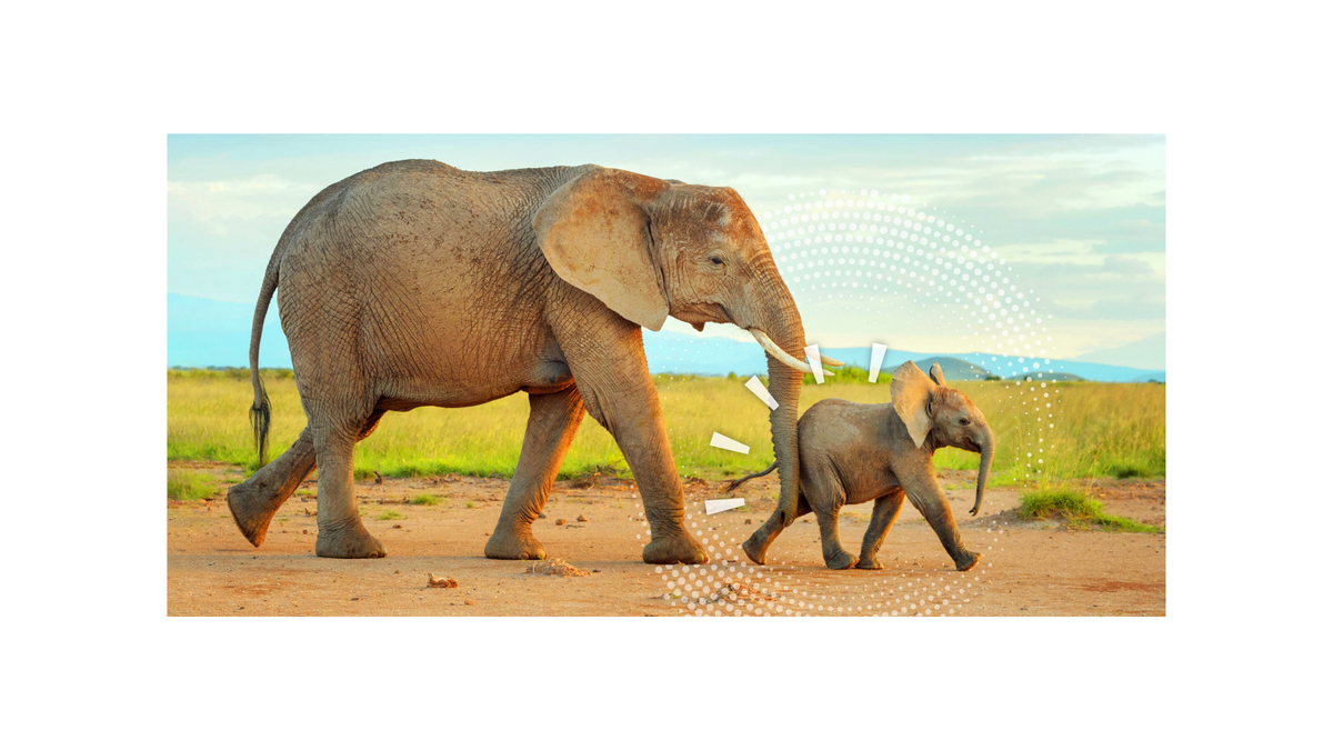 Nudges, life choices, and UBI