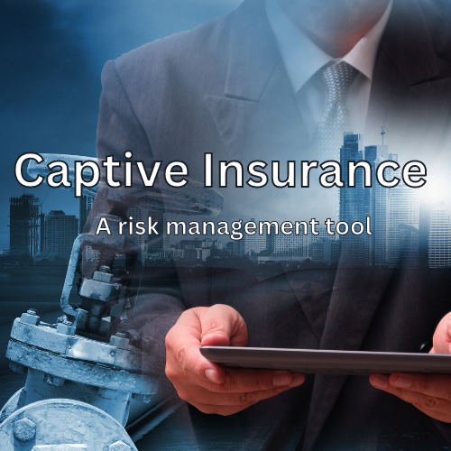 Captives - Is Your Business Missing Out on a Profit Center?