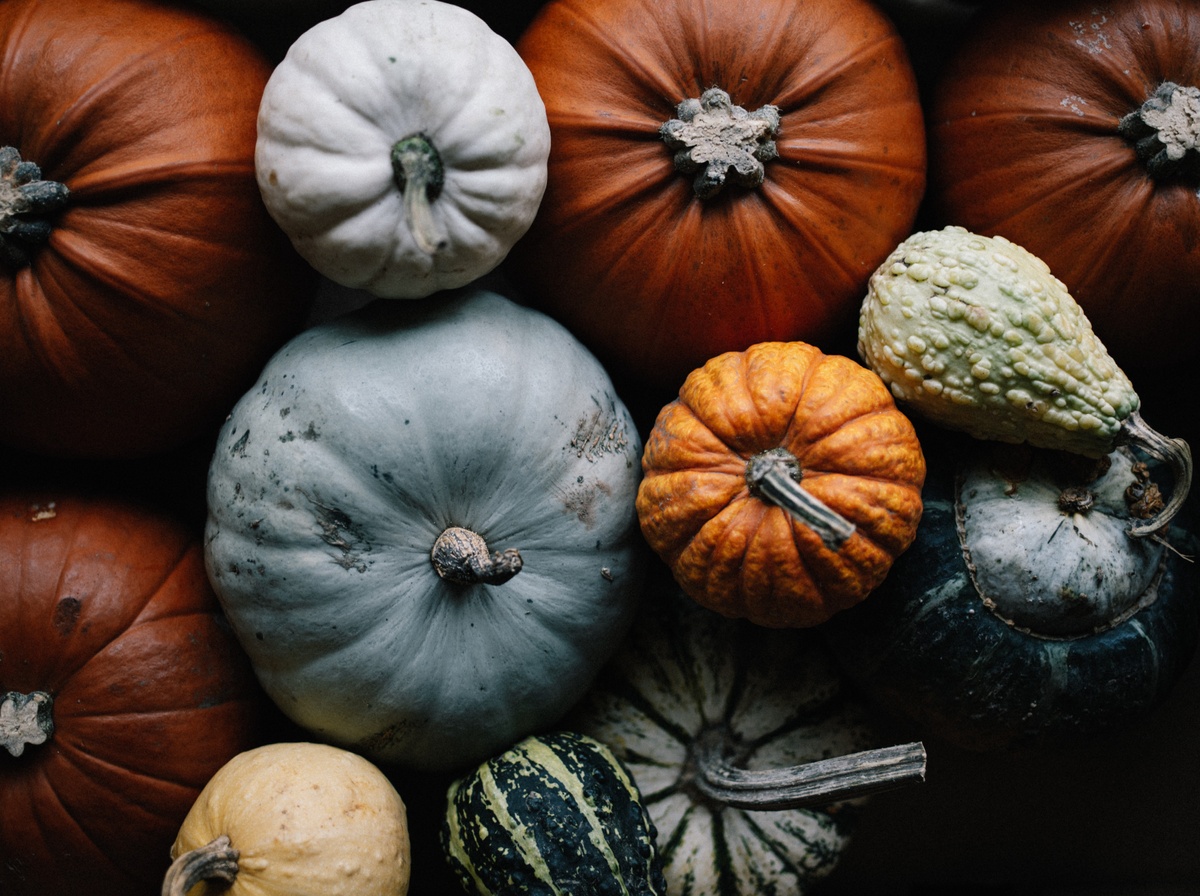 Find Your Perfect Pumpkin | Tax-Loss Harvesting
