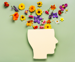 Nurturing Your Noggin: A Guide to Keeping Your Brain Sharp and Happy