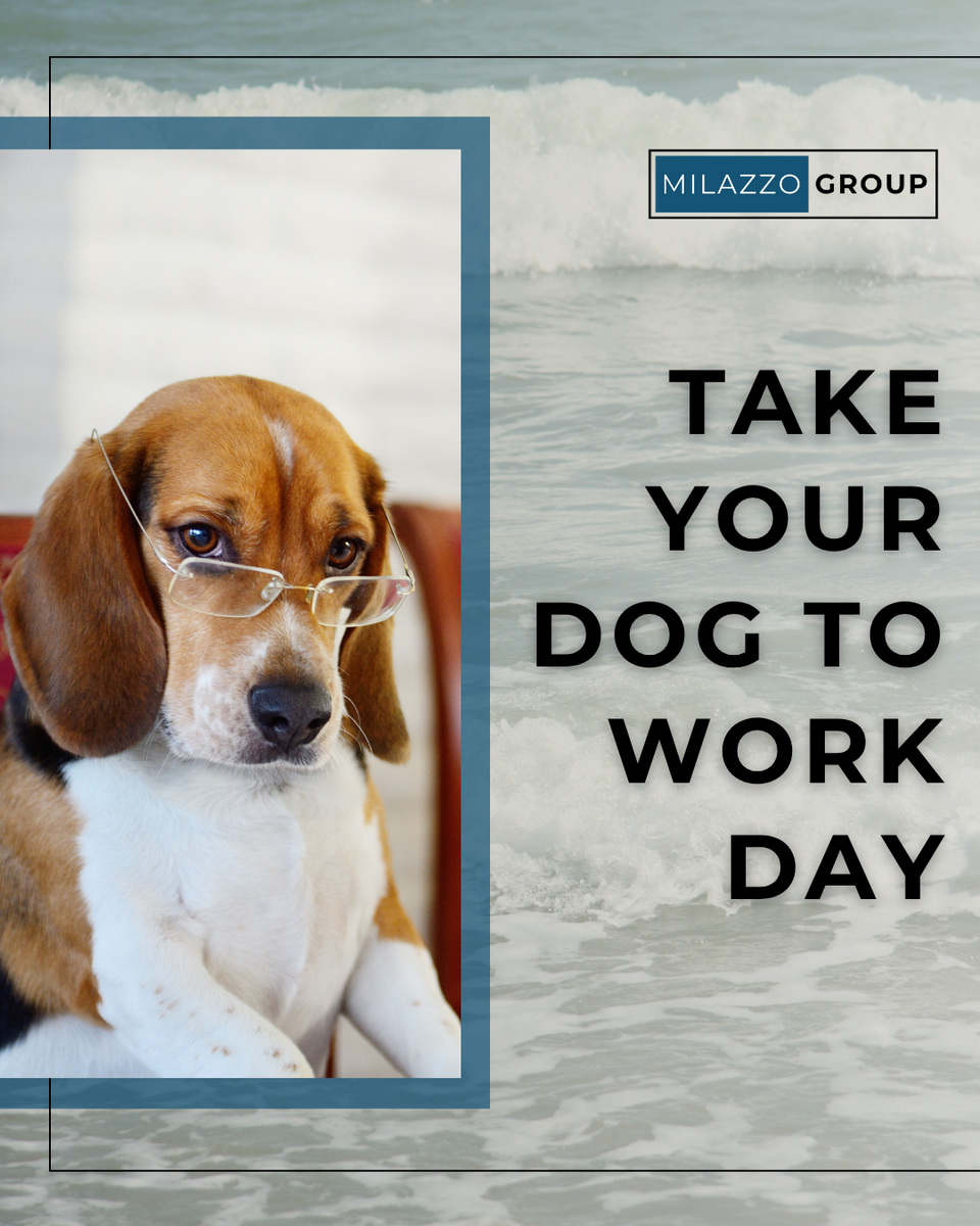 Canine Concerns:  Proper Insurance Coverage