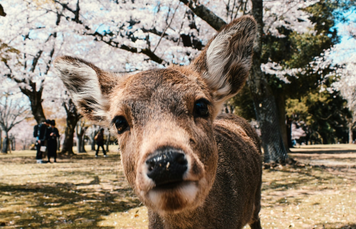 Weekly Market Insights: Stocks Startled By Inflation, Conflict