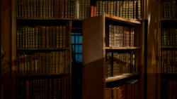 The Hidden Impact of Tax Planning