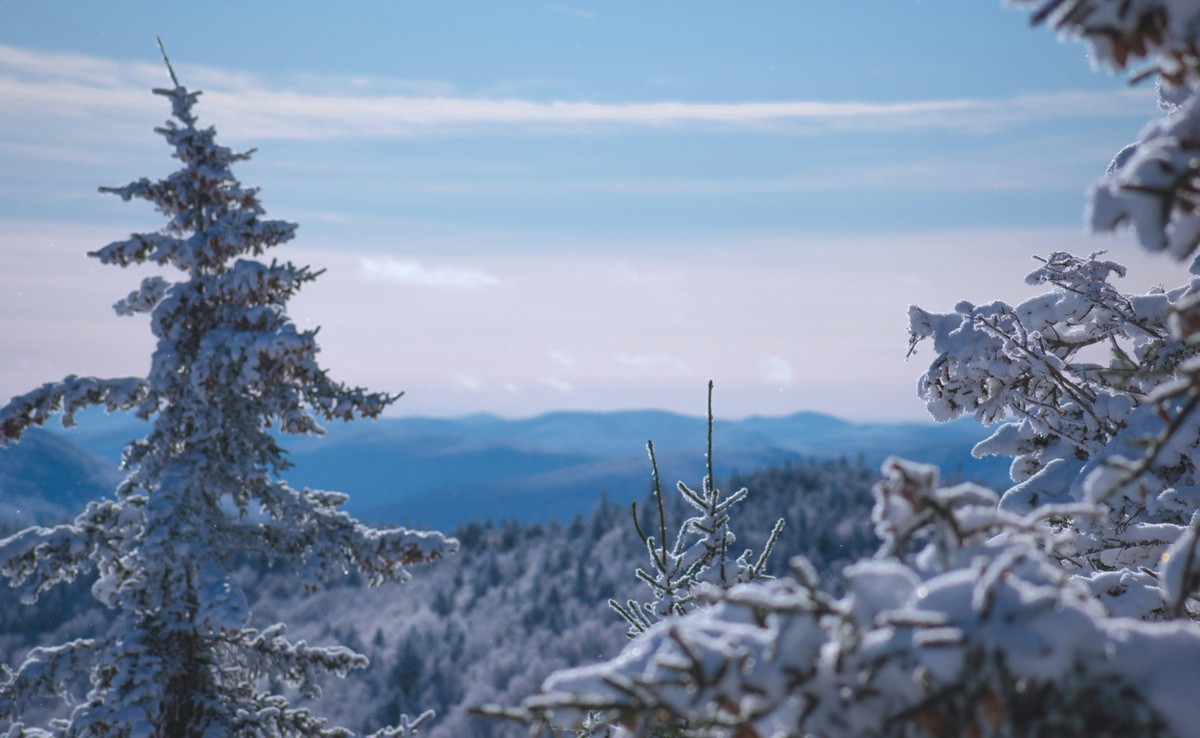 Winter in the Northeast: A Homeowner's Guide and Insurance Tips