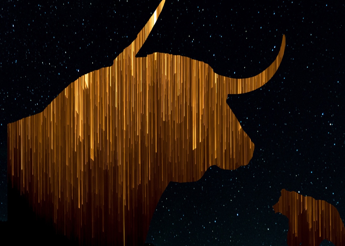 Long Bull & Short Bear